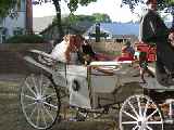 Click to see 2003-08-16-17_20_45-Hochzeit_Kutsche_r_005.jpg